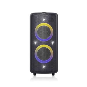 F&D PA300 100 Watt Wireless Bluetooth Party Speaker (Black)