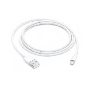 Apple Lightning to USB Cable (1mtr)