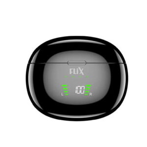 FLiX (Beetle) Breeze TWS 120 Bluetooth 5.0 True Wireless Earbuds