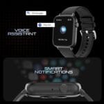 voice assistant